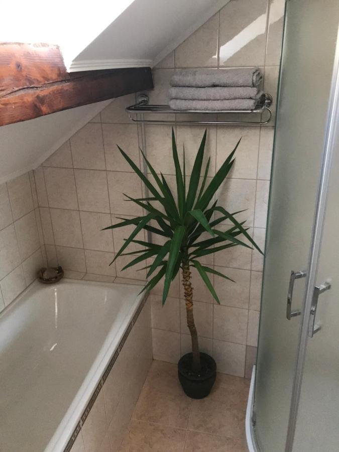 Komárno Apartman Silvia מראה חיצוני תמונה