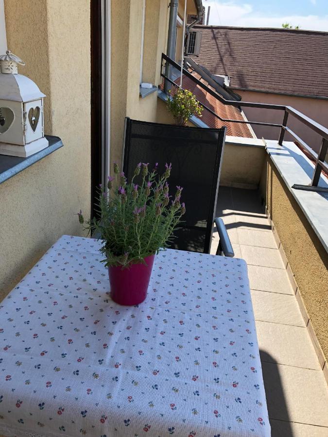 Komárno Apartman Silvia מראה חיצוני תמונה